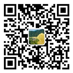 易彩网官方app易彩网